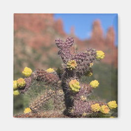 Sedona Cactus Desert Magnet Magneet