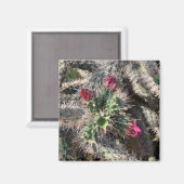 Sedona Cactus Rose Bloom Désert Magnet (Recto/Verso)