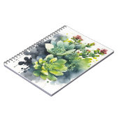 Sedum - Cahier de fleurs à l'aquarelle (Côté gauche)