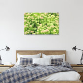 Sedum (herfst Joy) Canvas Afdruk (Insitu (Slaapkamer))