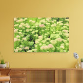 Sedum (herfst Joy) Canvas Afdruk (Insitu (Woonkamer))
