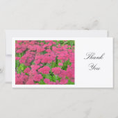 Sedum (herfst Joy) - Dank u wel Bedankkaart (Voorkant)