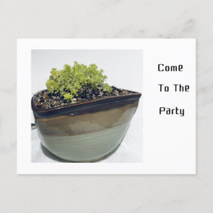Sedum in een driehoekige pot uitnodiging briefkaart