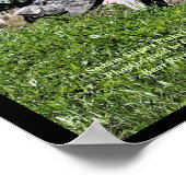 Sedum Silvers Pinks Rock Garden Poster (Hoek)