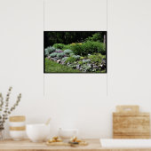 Sedum Silvers Pinks Rock Garden Poster (Keuken)