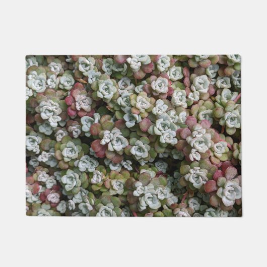 Sedum spathulifolium Succulents Floral Deurmat (Voorkant)