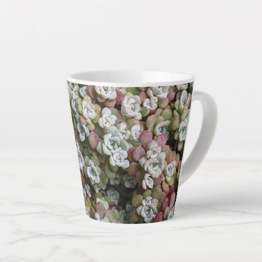 Sedum spathulifolium Succulents Floral Latte Mok (Rechterhoek)