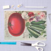  Seed Catalog Buist's Company Tissuepapier (Craft)