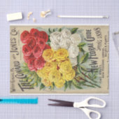  Seed Catalog Conard Jones, 1898 Tissuepapier (Craft)