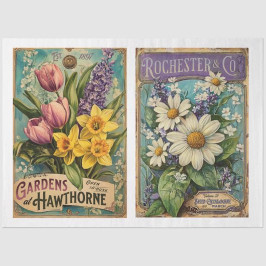 Seed Catoloque x 2 design Tissuepapier (Voorkant)