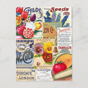 Seed Packets Briefkaart
