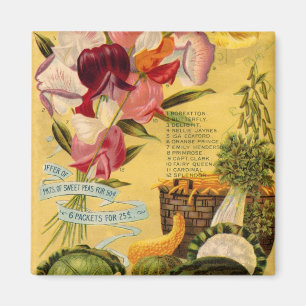 Seed Variant Magnet Magneet