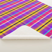 Seedy Plaid SE (3/4)