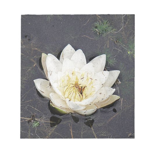 Seerose Notitieblok (Voorkant)