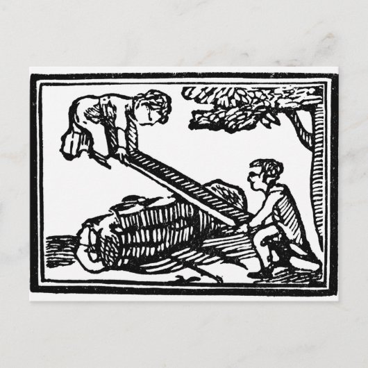 Seesaw Briefkaart (Voorkant)