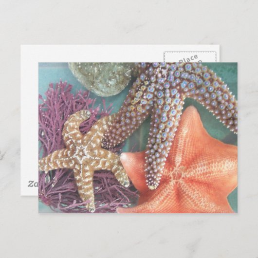 SEESTARS BRIEFKAART (Voorkant / Achterkant)