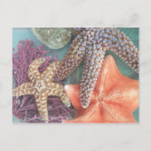 SEESTARS BRIEFKAART (Voorkant)