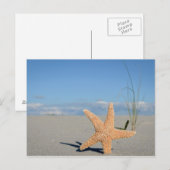 Seestern am Strand Briefkaart (Voorkant / Achterkant)