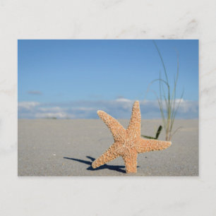Seestern am Strand Briefkaart