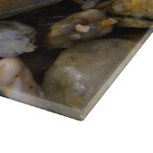 Seestern auf Stein am Strand Snijplank (Hoek)