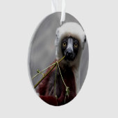 Sefaka Lemur Wildlife Animal Foto Ornament (voorkant)