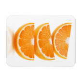 Segmenten van sinaasappel in een stapel magneet (Horizontaal)