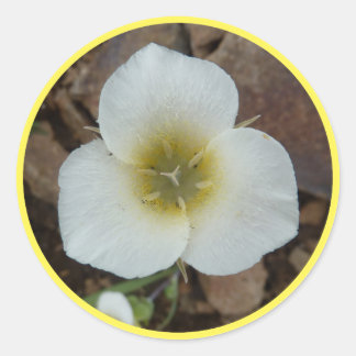 Sego Lily Ronde Sticker