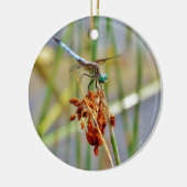 Segragras en Dragonfly Keramisch Ornament (Links)