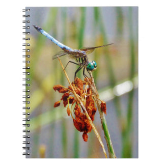 Segragras en Dragonfly Notitieboek