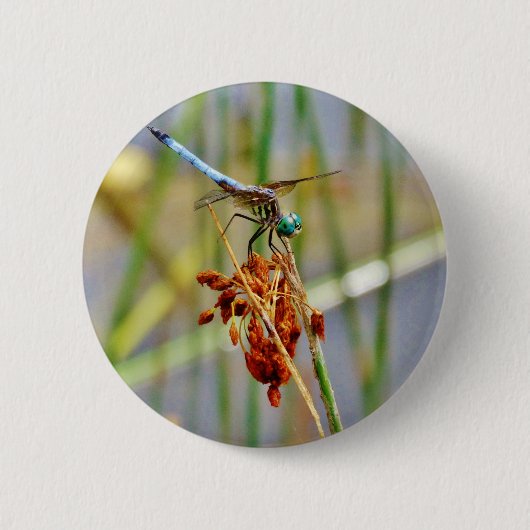 Segragras en Dragonfly Ronde Button 5,7 Cm (Voorkant)