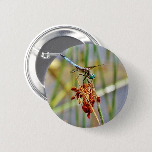 Segragras en Dragonfly Ronde Button 5,7 Cm (Voorkant /achterkant)