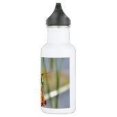 Segragras en Dragonfly Waterfles (Rechts)