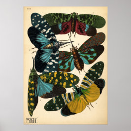 Seguy Art Noveau  Lanternfly Poster