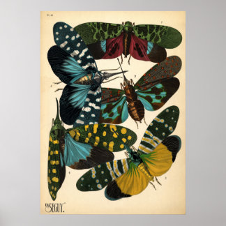 Seguy Art Noveau  Lanternfly Poster