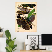 Seguy Insects Vintage Poster (Thuiskantoor)