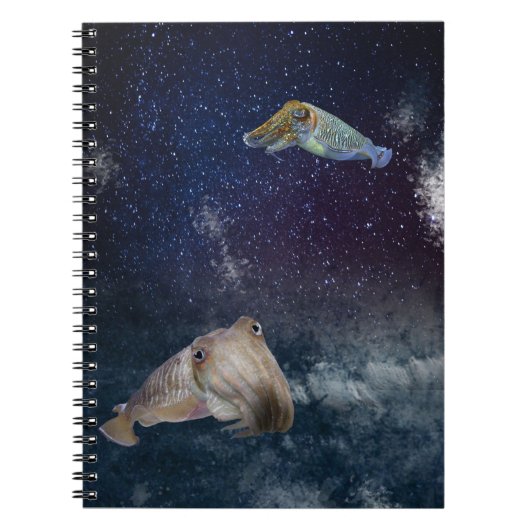 Seiches dans le carnet de l'espace (Devant)