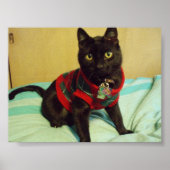 Seimei Poster afdrukken (Voorkant)