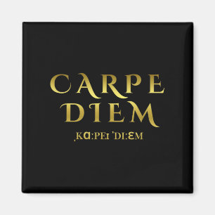 Seize Day Carpe Latin Diem Inspirerend quotes Magneet