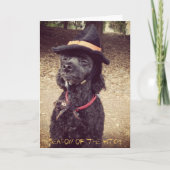 Seizoen van de Heks Kaart (Voorkant)