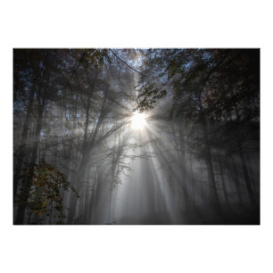 Seizoen van stilte foto afdruk