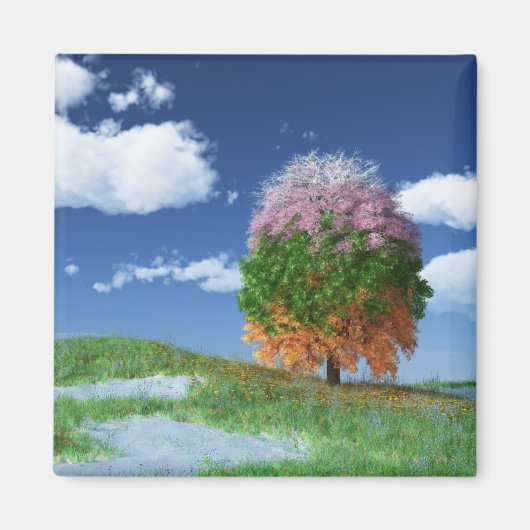 Seizoenboommagneet Magneet (Voorkant)