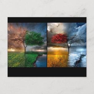 Seizoenen Briefkaart