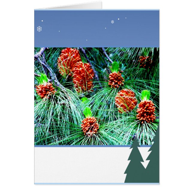 Seizoenen groeten_ (Voorkant)