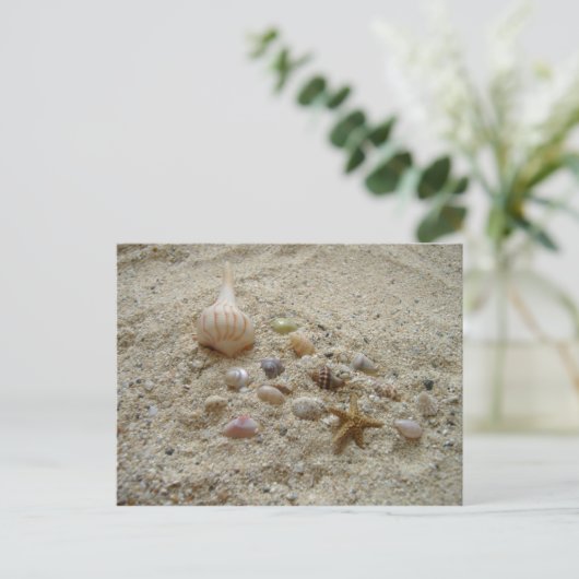 Seizoenen in de zand briefkaart (Staand voorkant)