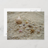 Seizoenen in de zand briefkaart (Voorkant / Achterkant)