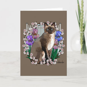 Seizoenen Katten - Voorjaarstuin Kaart