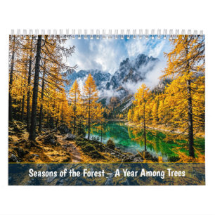 Seizoenen van het bos - Een jaar tussen de bomen Kalender