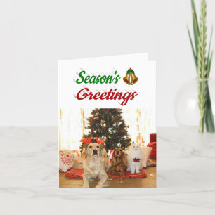 Seizoenen Vergroeten Vertellen Kerstfotoscript Feestdagen Kaart