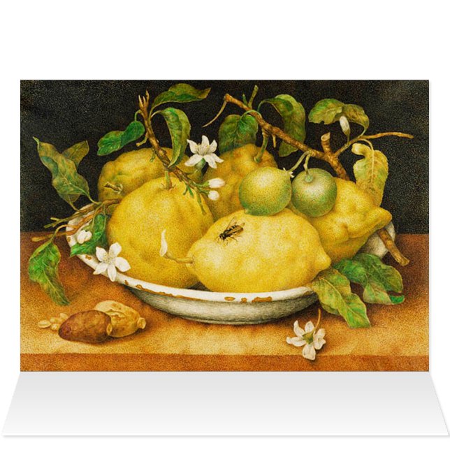 SEIZOENGROENEN EN WITTE STROMEN (Binnen Horizontaal (Boven))