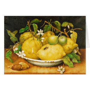 SEIZOENGROENEN EN WITTE STROMEN